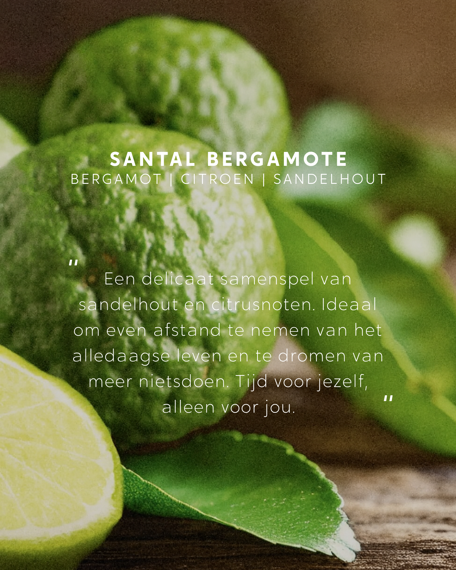Geparfumeerd boeket Santal Bergamote