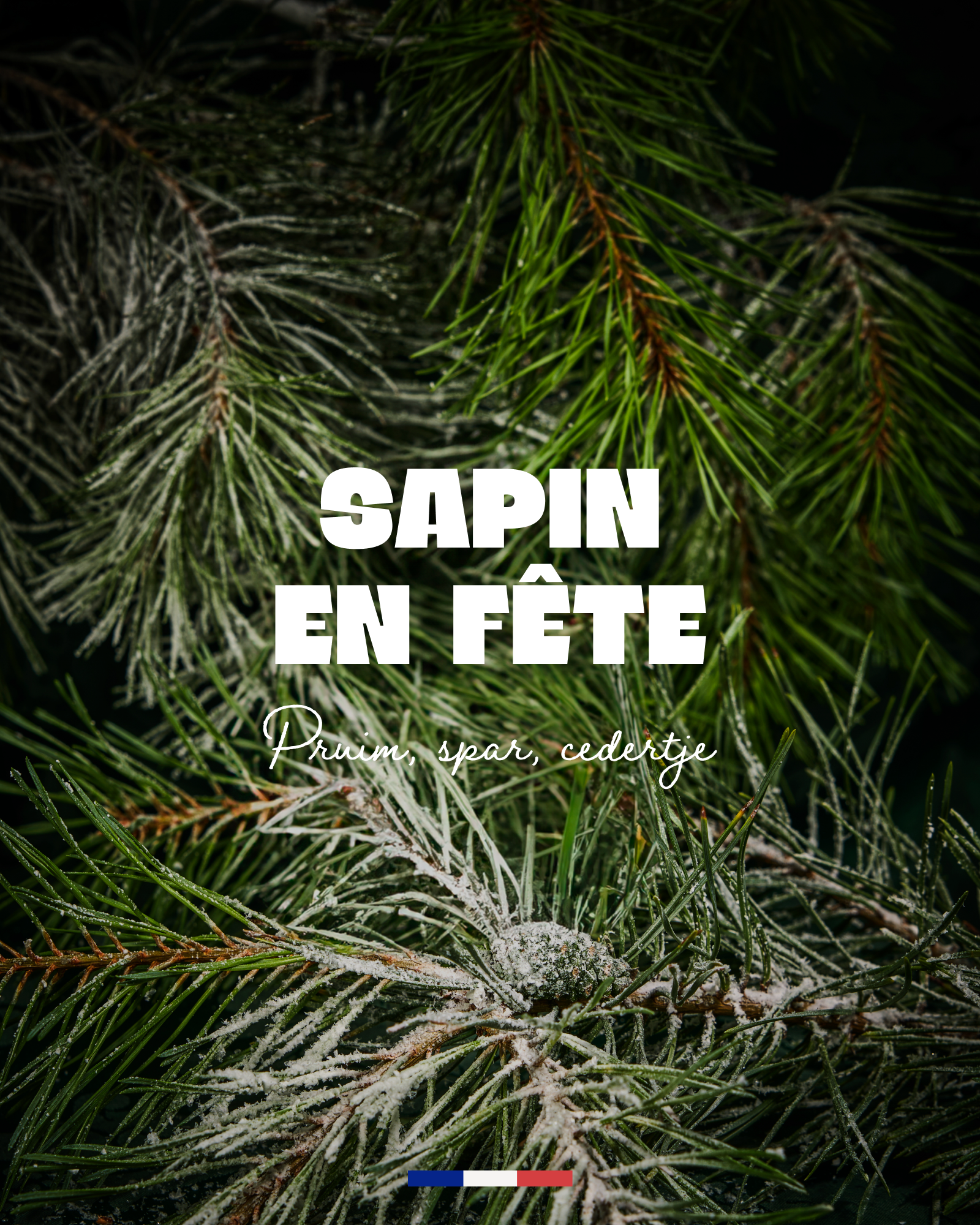 Geurkaars Sapin en Fête