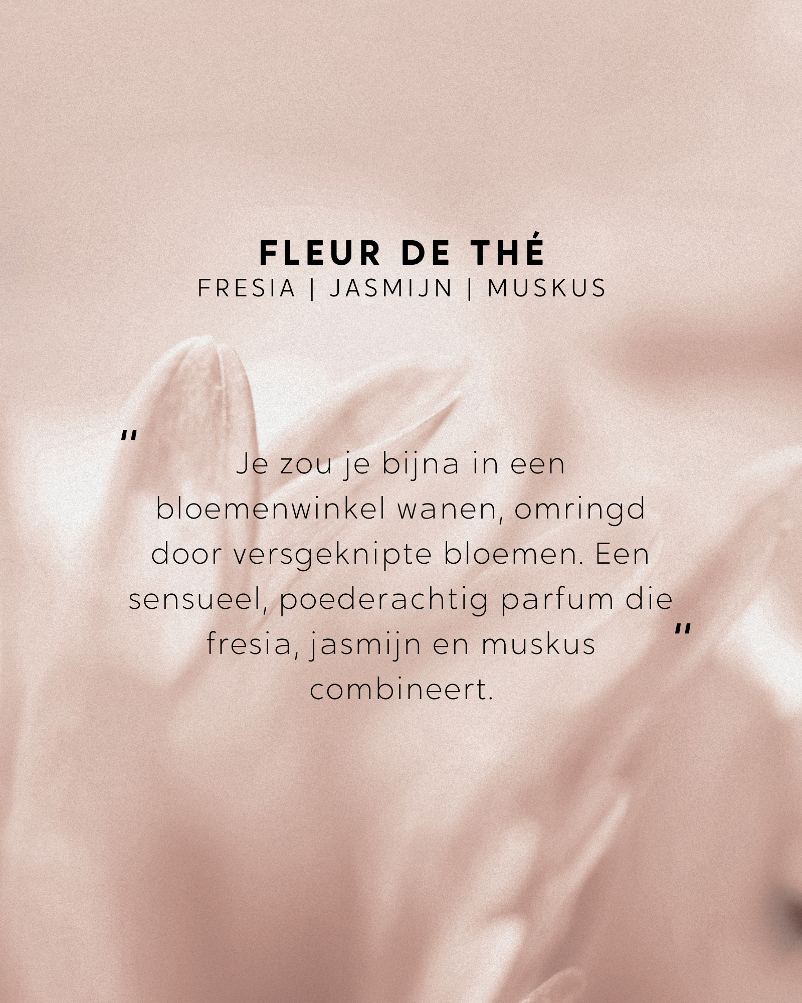 Boeket navulling Fleur de Thé