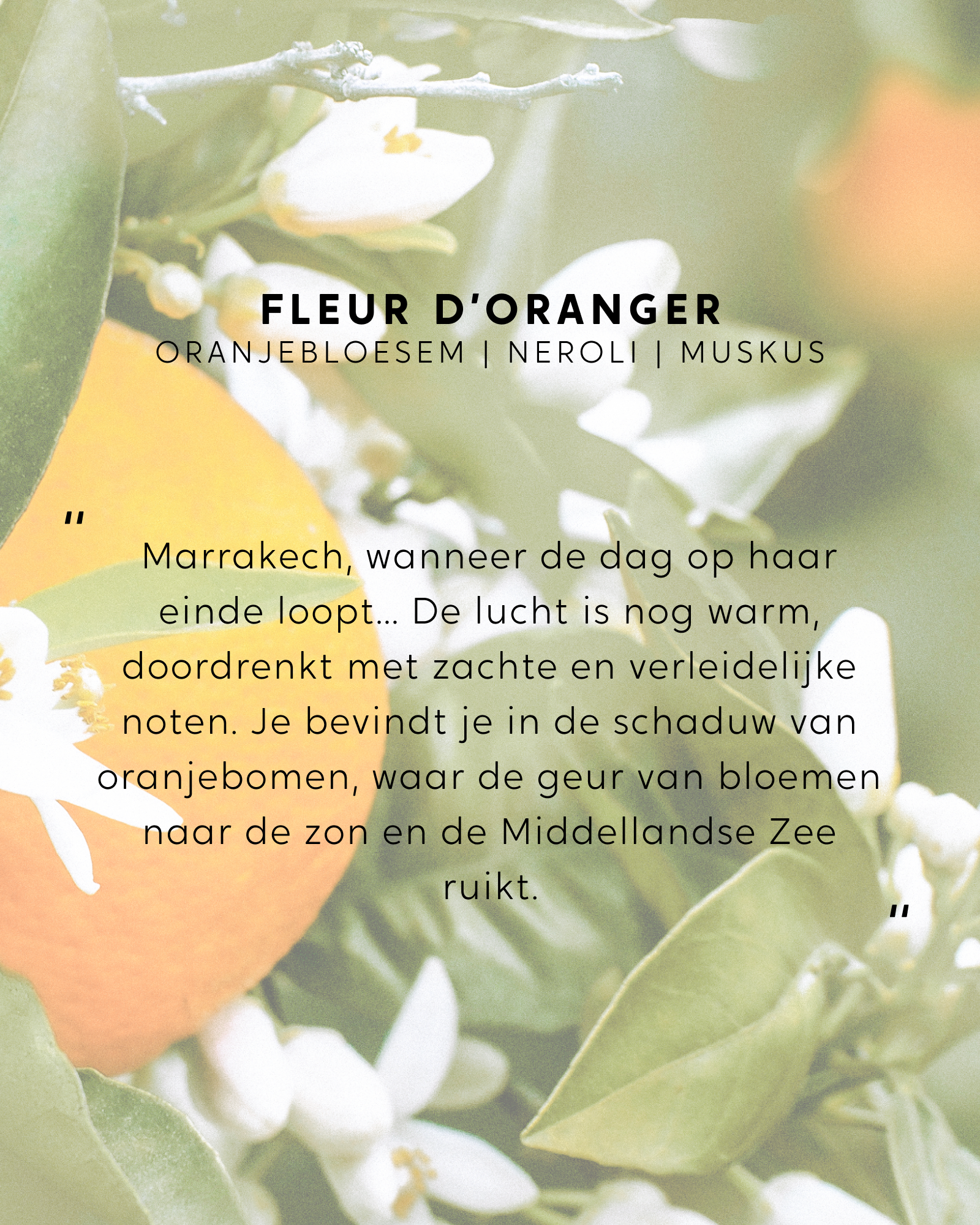Geparfumeerd boeket Fleur d'Oranger