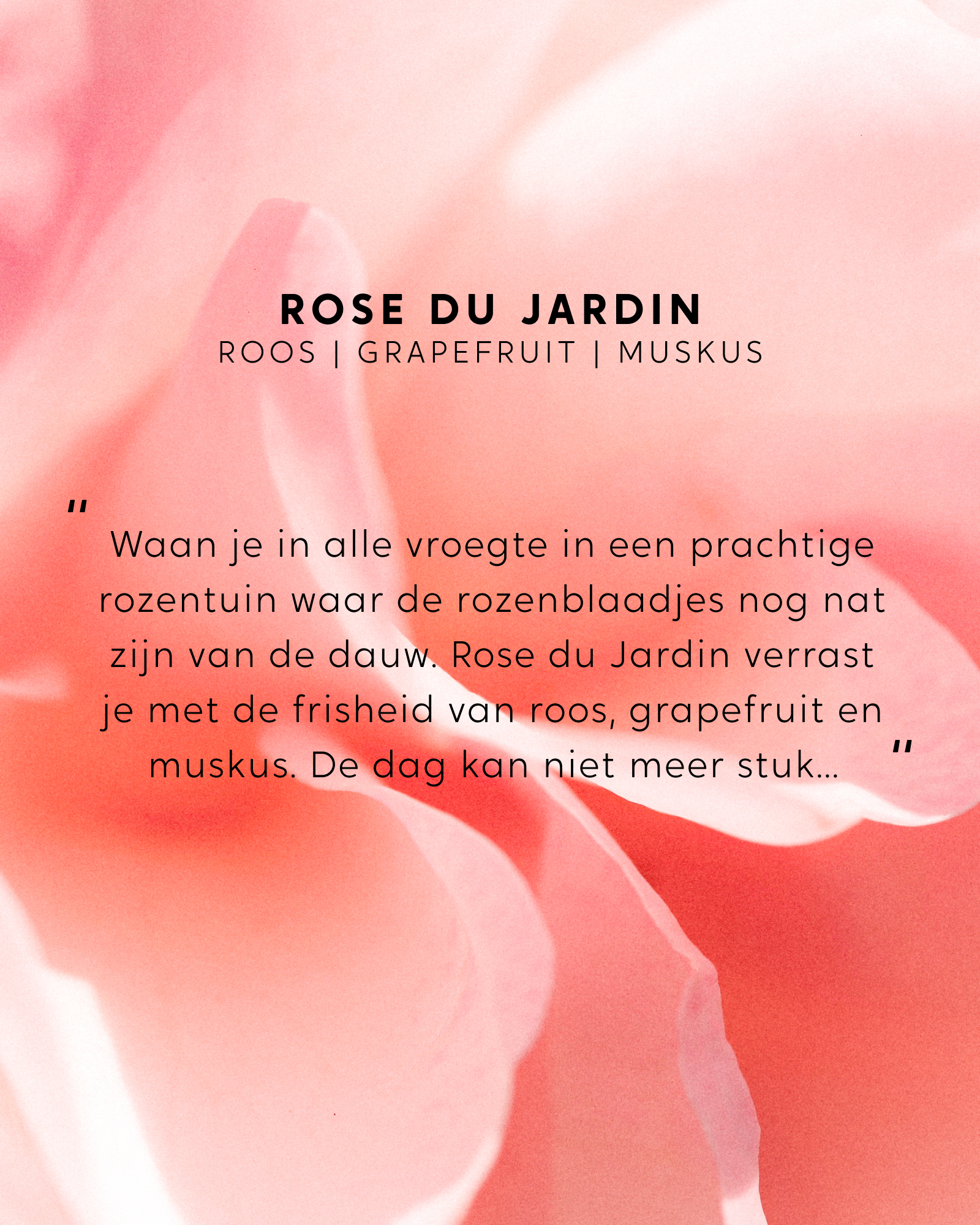 Geparfumeerde spray Rose du Jardin